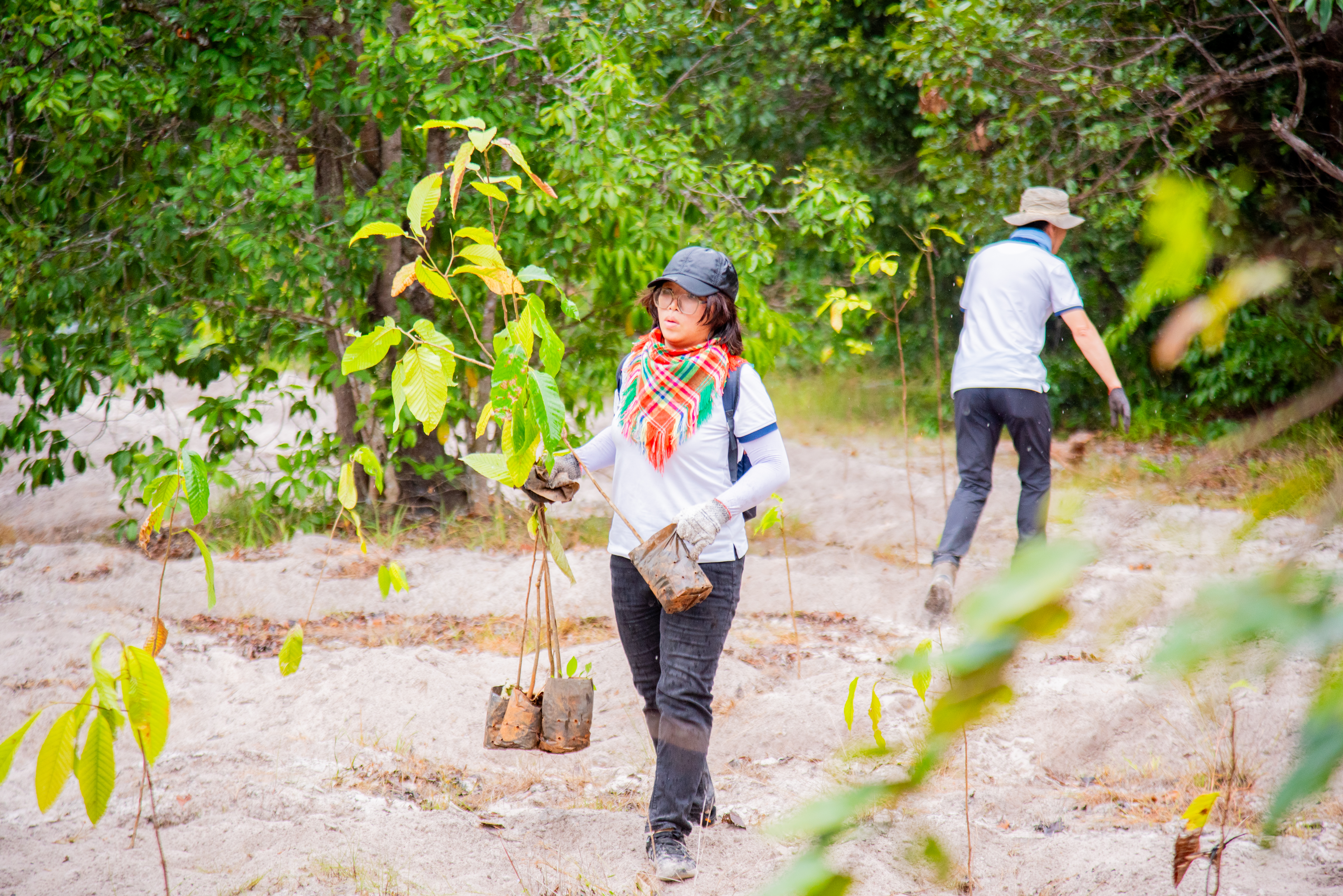 AFFORESTATION PROJECT OF 2000 TREES IN BINH CHAU - PHUOC BUU NATURE RESERVE THROUGH THE “CSVC – JOURNEY TO THE GREEN FUTURE” PROGRAM